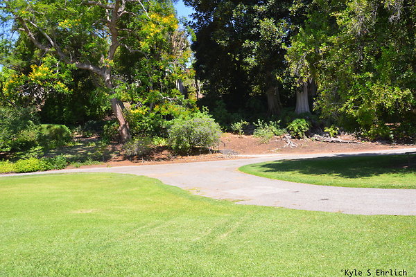 DSK 8103