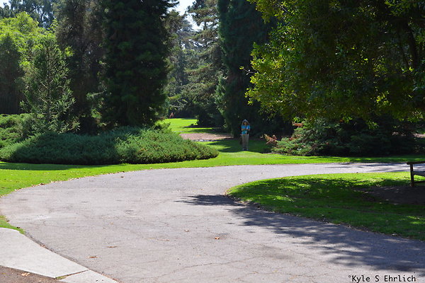 DSK 8135