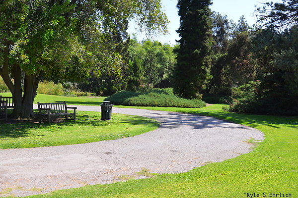 DSK 8092