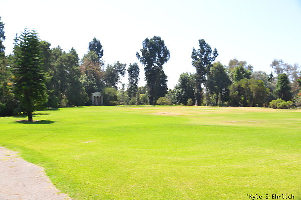 DSK 8089