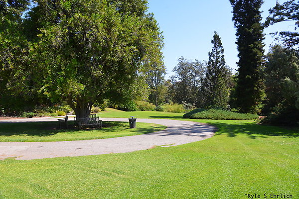 DSK 8097