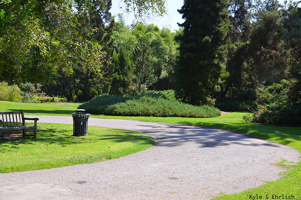 DSK 8093