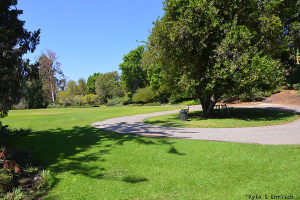 DSK 8112