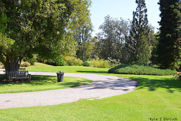 DSK 8098