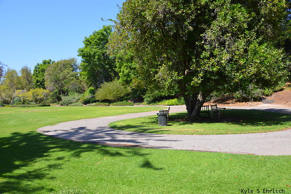DSK 8116