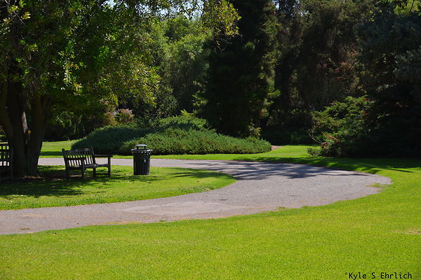 DSK 8065