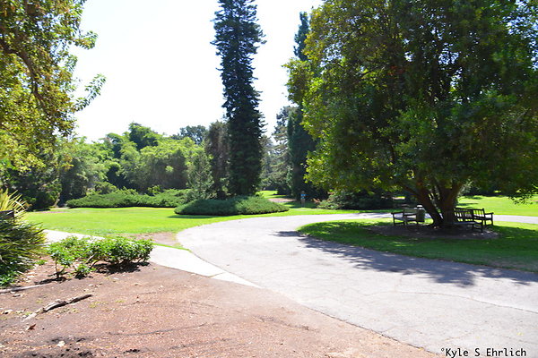 DSK 8137