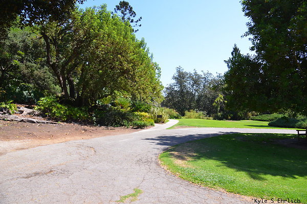 DSK 8158
