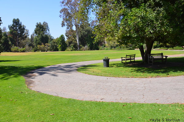 DSK 8122