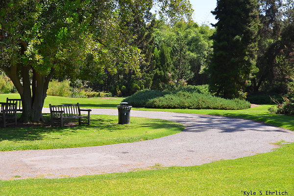 DSK 8079
