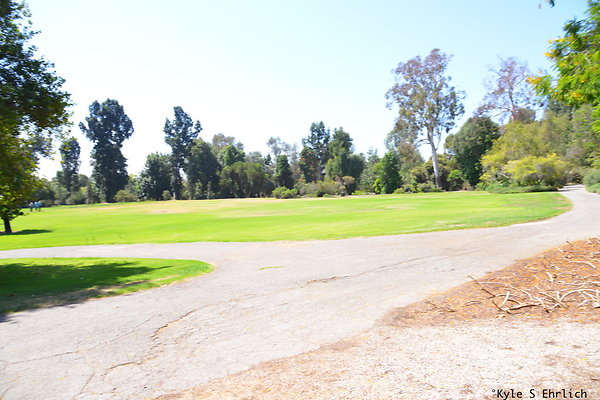 DSK 8145