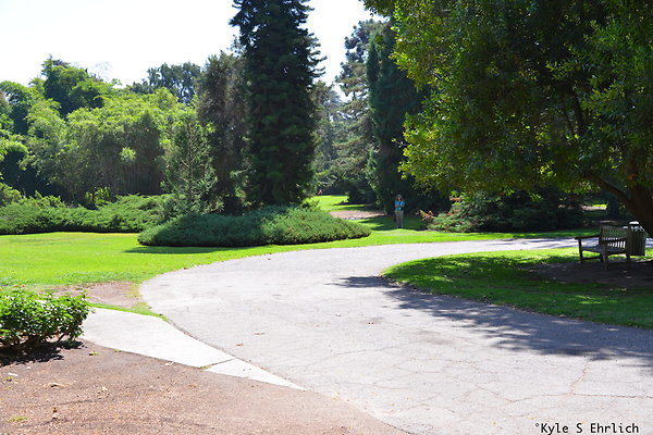 DSK 8134