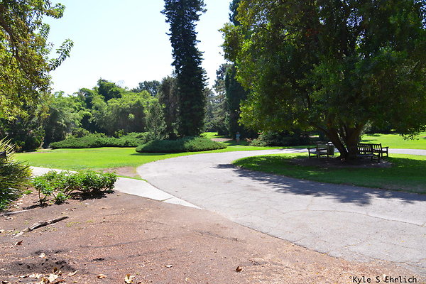 DSK 8133