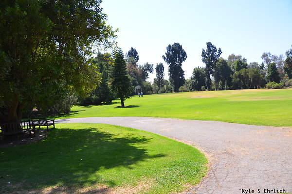 DSK 8146
