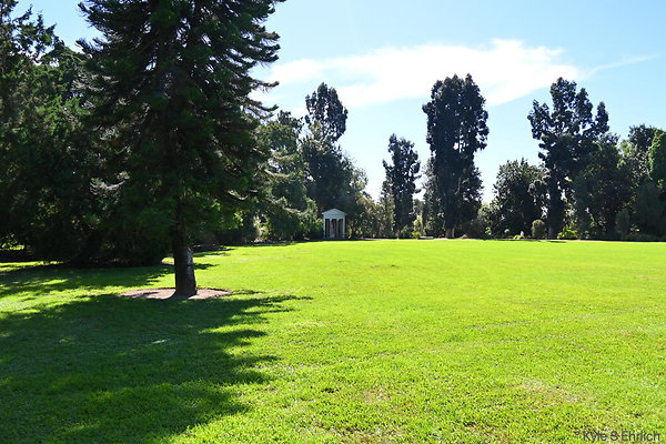 20 Australia Lawn