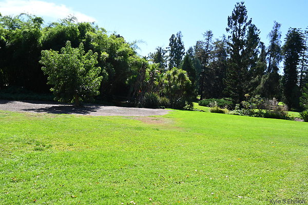 DSK 9339