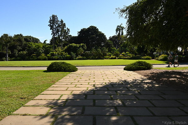 011 Library Gardens N