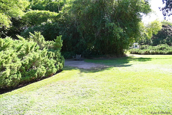 DSK 9077
