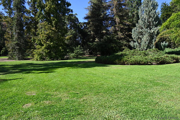 21 Lilly Ponds A