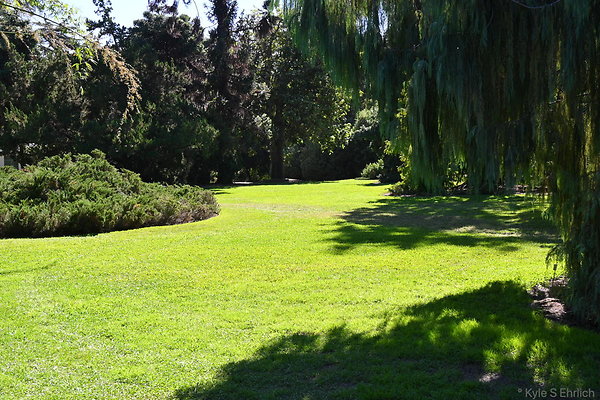 23 Lilly Ponds C