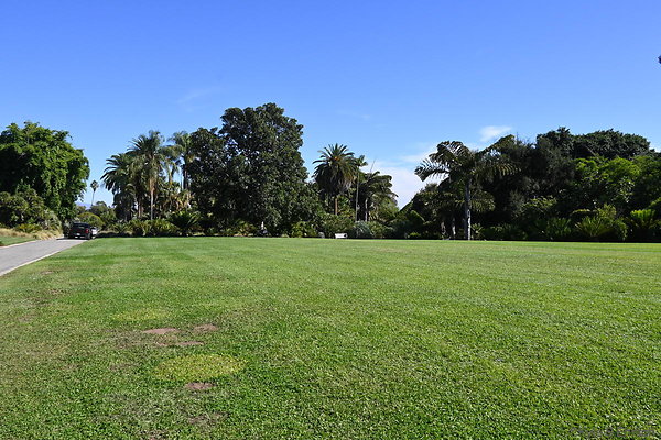 DSK 9691
