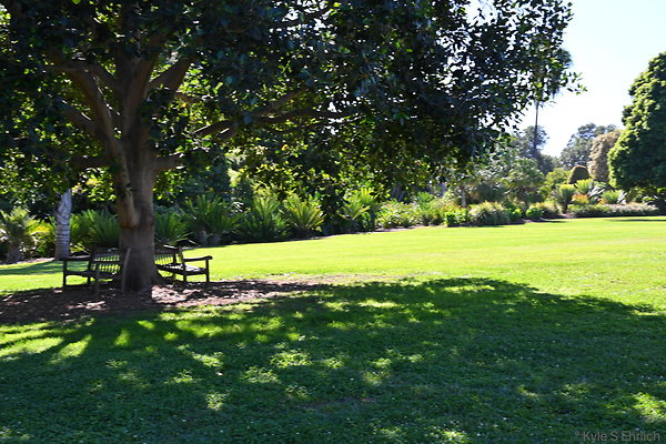 012 Library Gardens S Palm Gardens