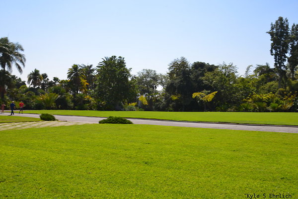 DSK 7881