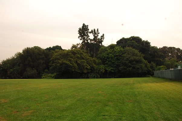 DSC 2919