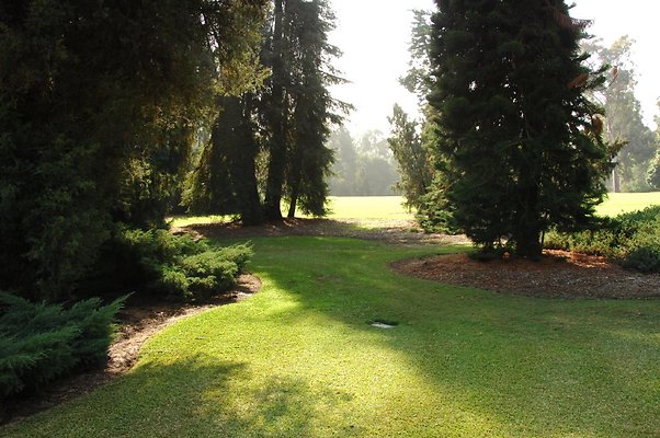13 Australia Lawn