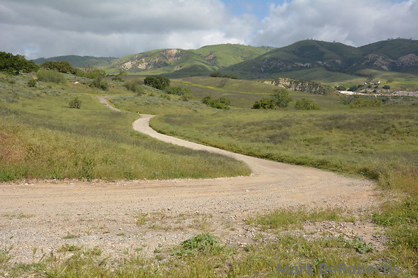 MDR 3769