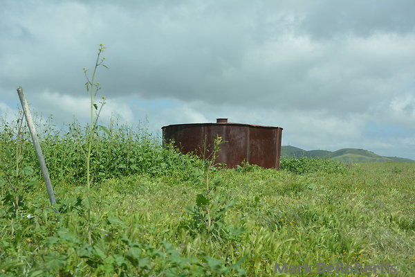 MDR 3968