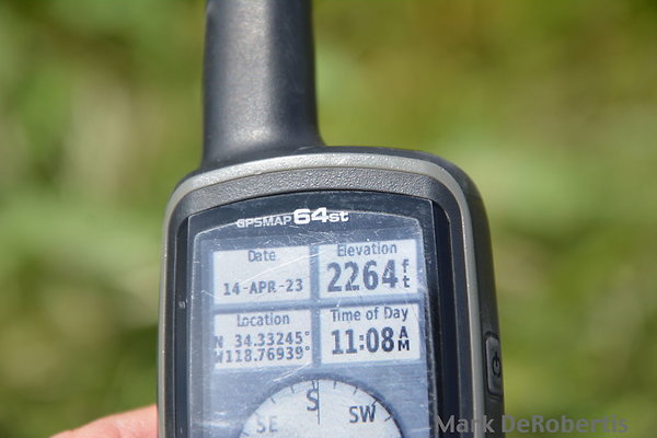 MDR 3949