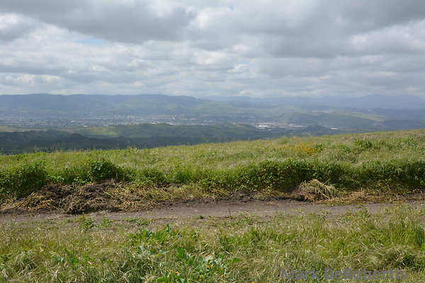 MDR 3947