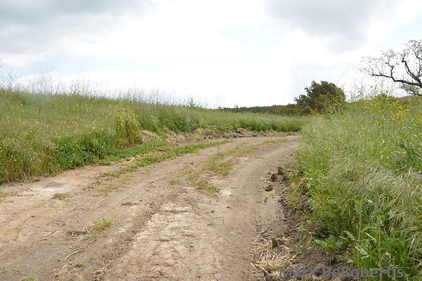 MDR 3894