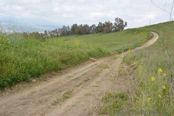MDR 3926