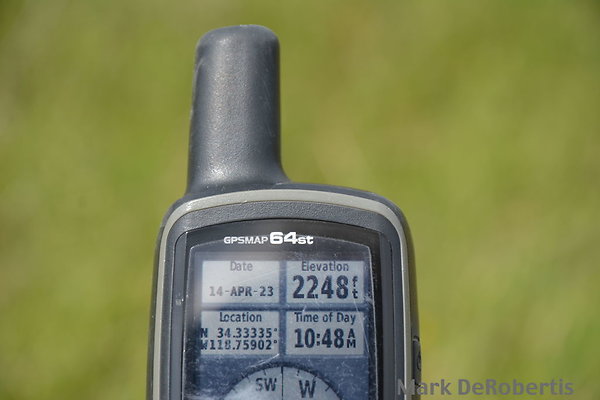 MDR 3898