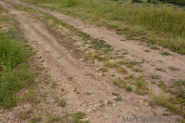 MDR 3887