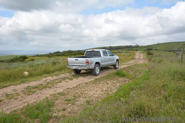 MDR 3885