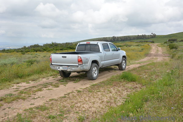 MDR 3884