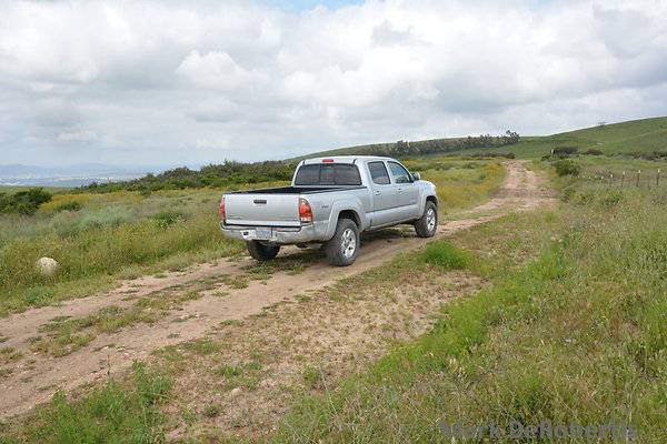 MDR 3883