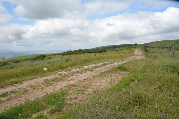 MDR 3881