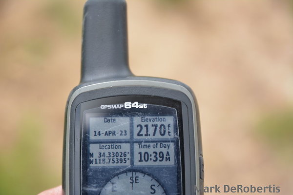 MDR 3872