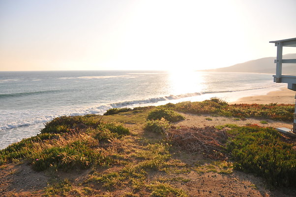 DSC 2260