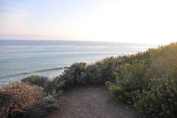 DSC 2413