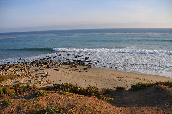 DSC 2265