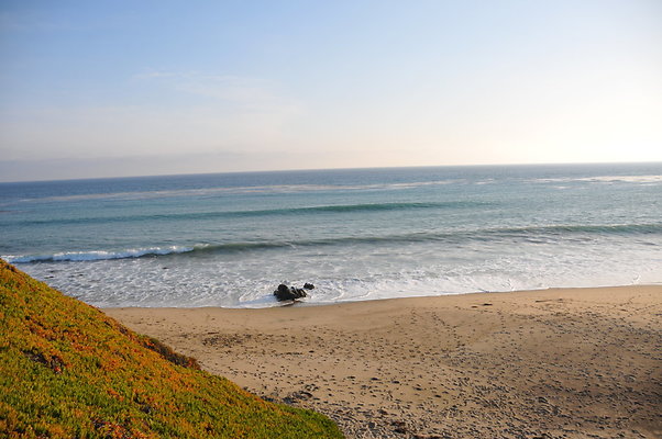 DSC 2272