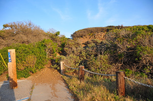 DSC 2410