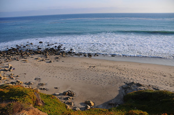 DSC 2267