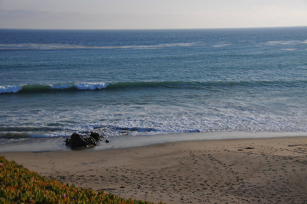 DSC 2254