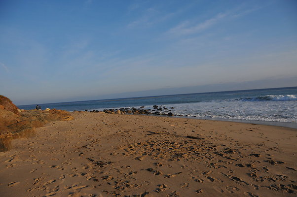 DSC 2302